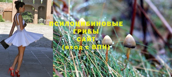 MDMA Богородск