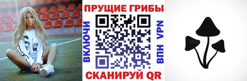 Псилоцибиновые грибы ЛСД  ОМГ ОМГ как войти  Минеральные Воды 